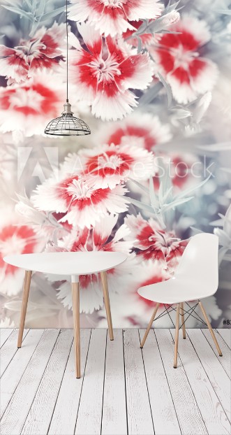 Picture of Carnation Flowers Background